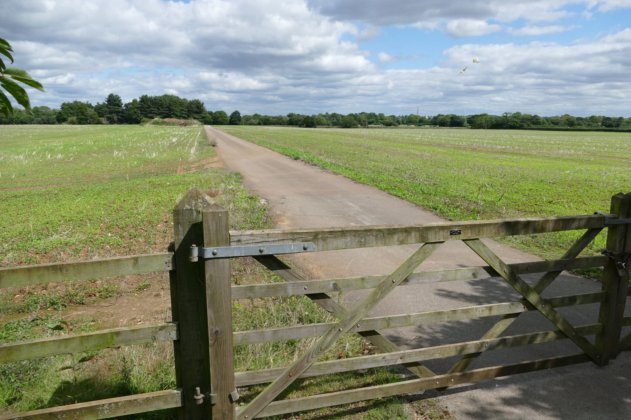 20690281_262920670867315_8022854338177629085_o