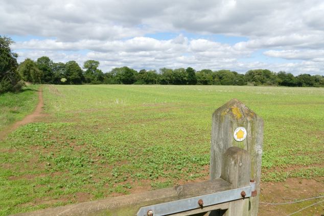 20819137_262918824200833_3863992915997037653_o